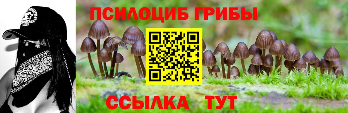 Псилоцибиновые грибы Magic Shrooms  Вход с VPN  Псилоцибиновые грибы MAGIC MUSHROOMS  Ишим 